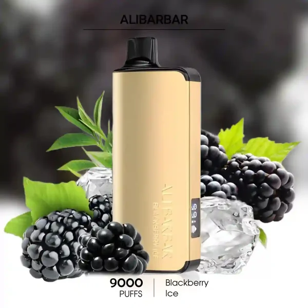 Buy Blackberry Ice Alibarbar Ingot 9000 Puffs – Top Disposable Vapes Australia