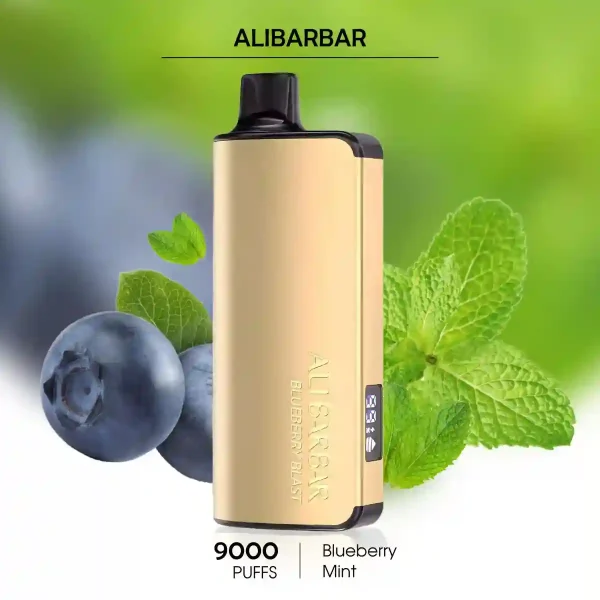 Buy Alibarbar Ingot 9000 Blueberry Mint Vapes Online in Australia