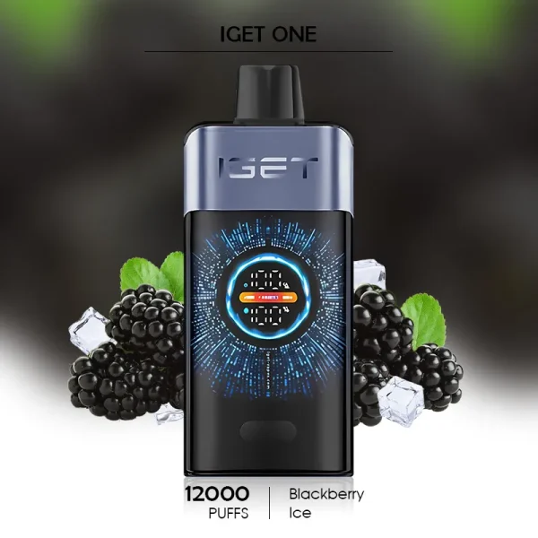 Cheap Vapes Online – Blackberry Ice IGET ONE 12000 Puffs for an Icy, Long-Lasting Vape Experience