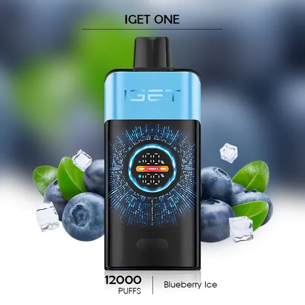 Smoking Vape – Blueberry Ice IGET ONE 12000 Puffs for a Cool and Satisfying Vape Experience