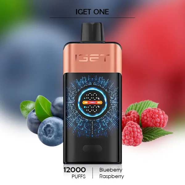 Sydney Wholesale Vapes – Blueberry Raspberry IGET ONE 12000 Puffs