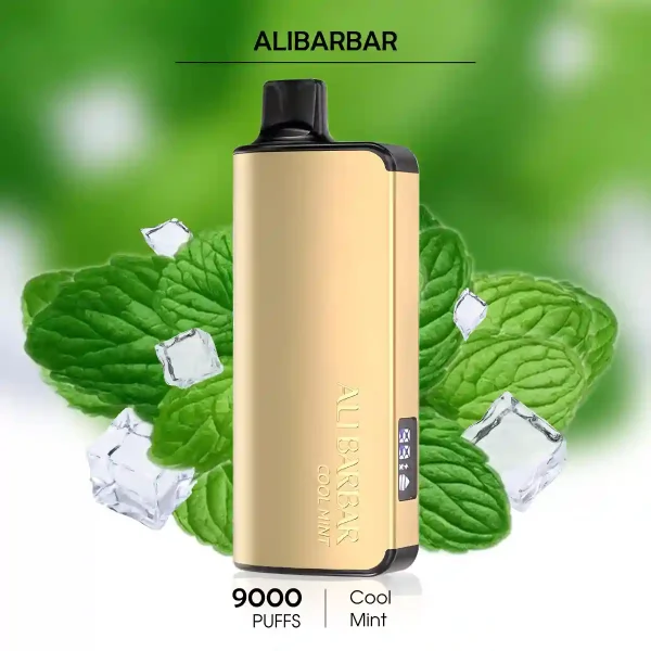 Cool Mint Alibarbar Ingot 9000 Puffs – Best Vape Price & Flavour in 2025