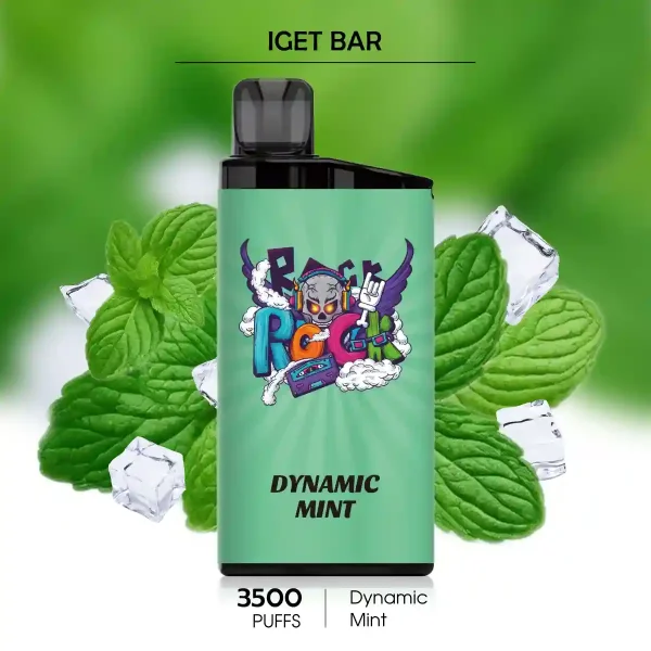 Dynamic Mint IGET BAR 3500 Puffs – Refreshing Disposable Vapes Online Australia